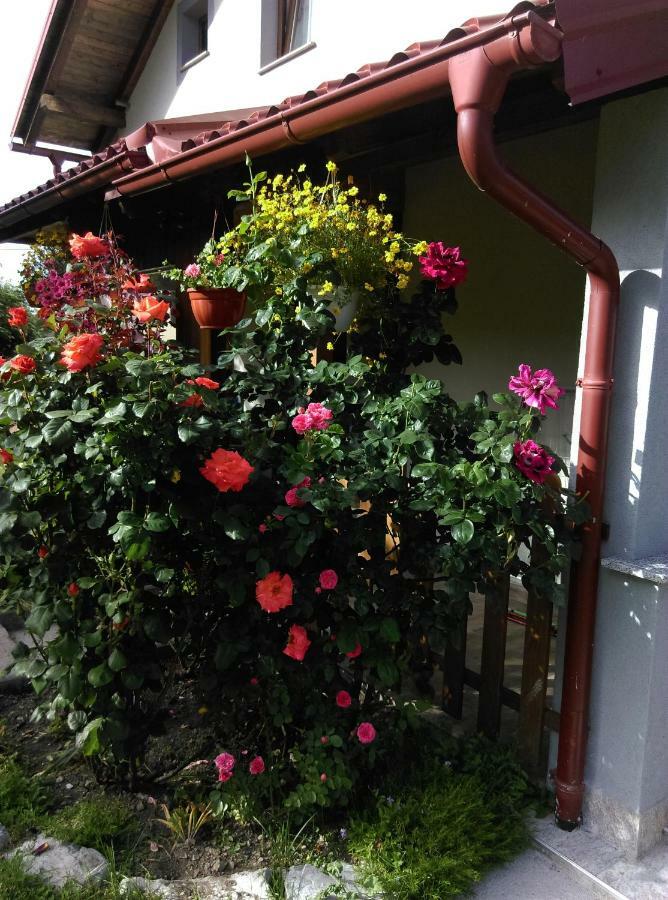 House Sara Apartment โคเรนนิซา ภายนอก รูปภาพ